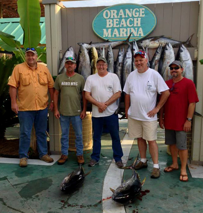 Orange Beach's Intimidator Lands Giant Bluefin Tuna